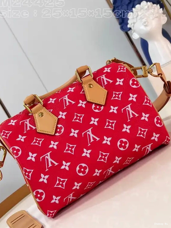 25 Vuitton Louis SPEEDY 0524